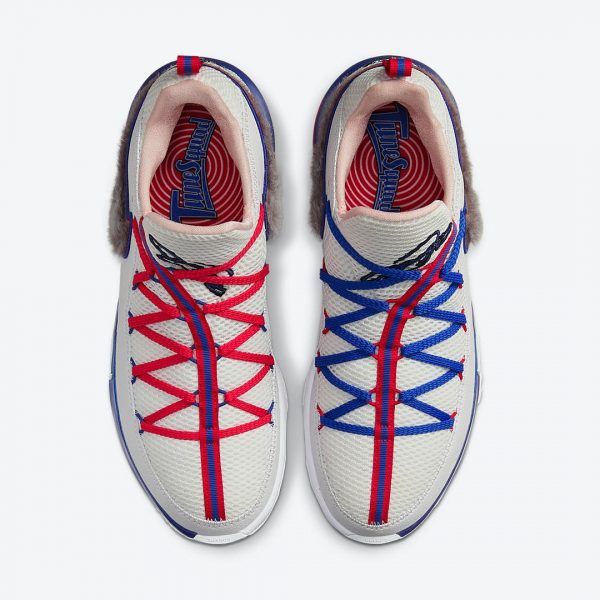 nike lebron toon squad