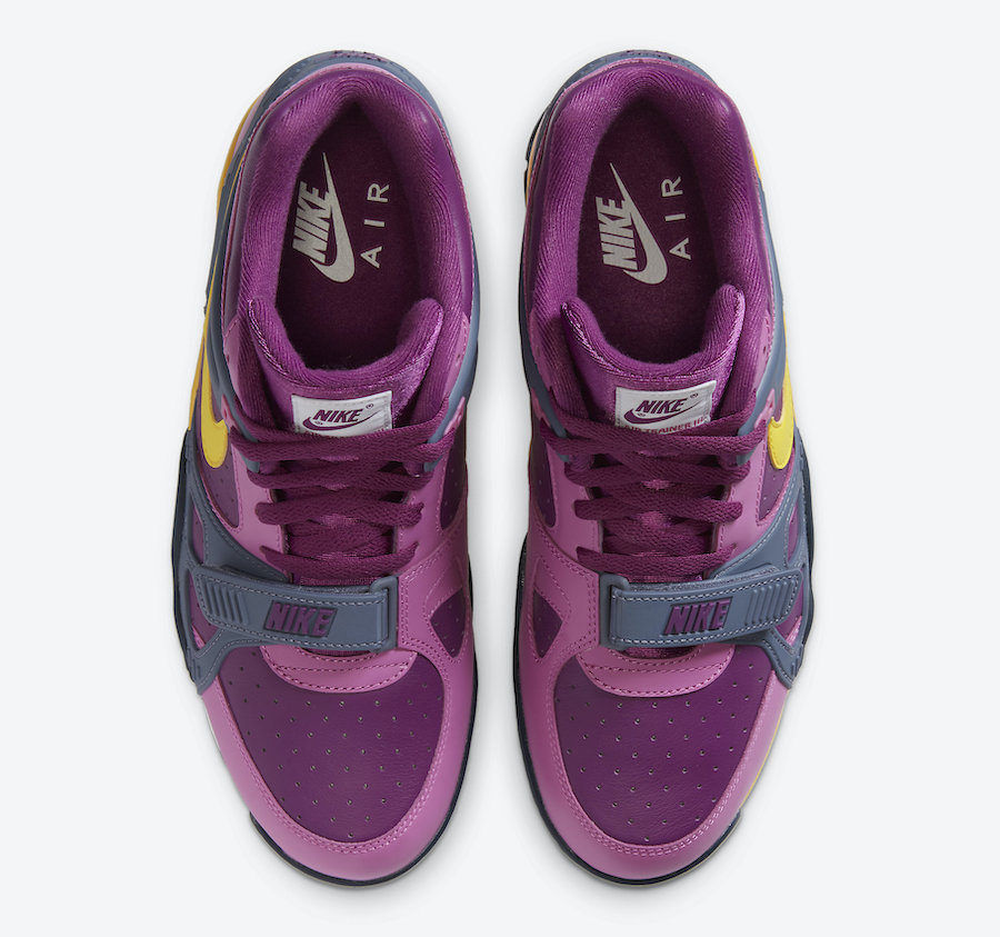 Trainer 3 Viotech