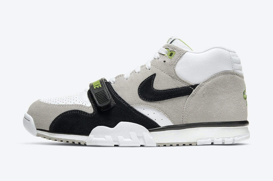 sb trainer 1 chlorophyll